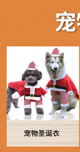 宠物用品关联推荐_01.jpg