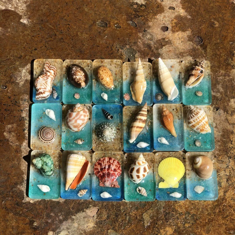 天然贝壳海螺冰箱贴家居工艺品摆件海洋风旅游度假创意礼品纪念品 - 平面海洋款冰箱贴1个长6宽4厘米左右