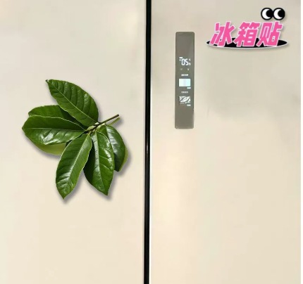 柚子叶冰箱贴去晦气柚子叶冰箱贴转运幸运亚克力创意冰箱装饰品 - 柚子叶冰箱贴(4.3cm)