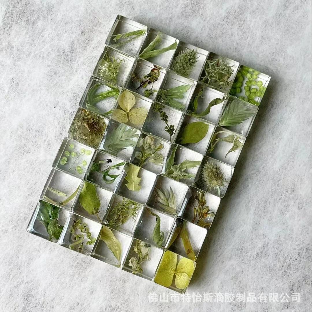 Маленькие квадратики Красная книга Взрывы Настоящие цветы Листья смола образцы растений капли клей домашние подарки с магнитом холодильник наклейка - Зеленый (без магнитов)