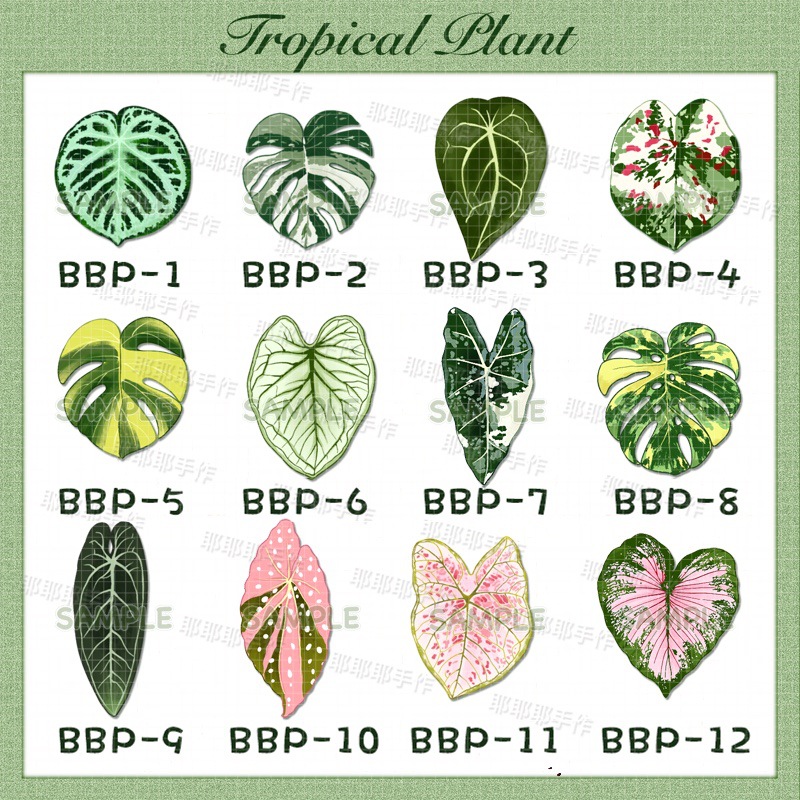 Бегония, черепаха, декоративный холодильник, магнитная наклейка, тропические растения, сорняки, подарки детям и друзьям - Магнит на холодильник ББП-1