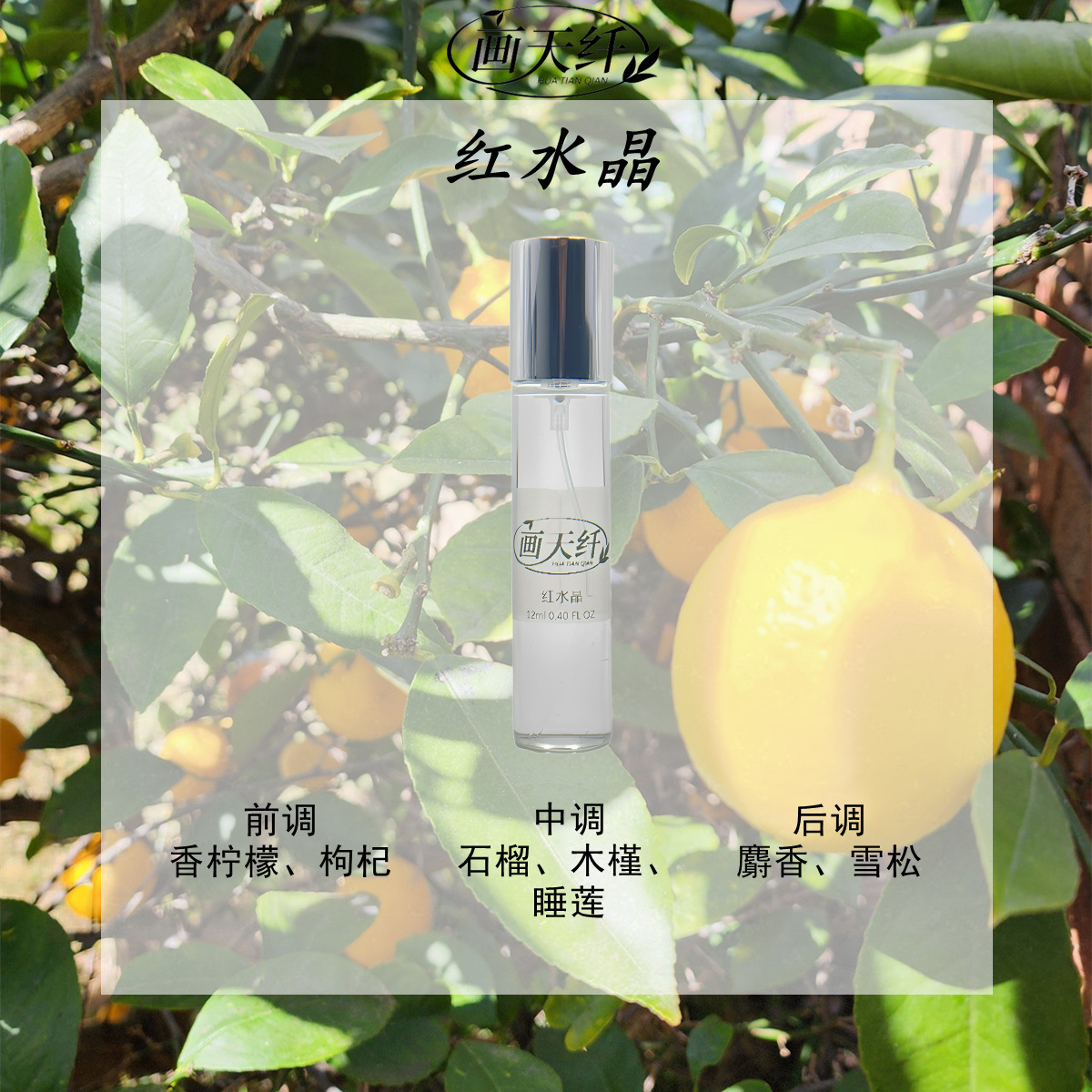 Производитель парфюмерии Direct Direct Direct, пробирки, оптовый киоск, 12 мл аромата