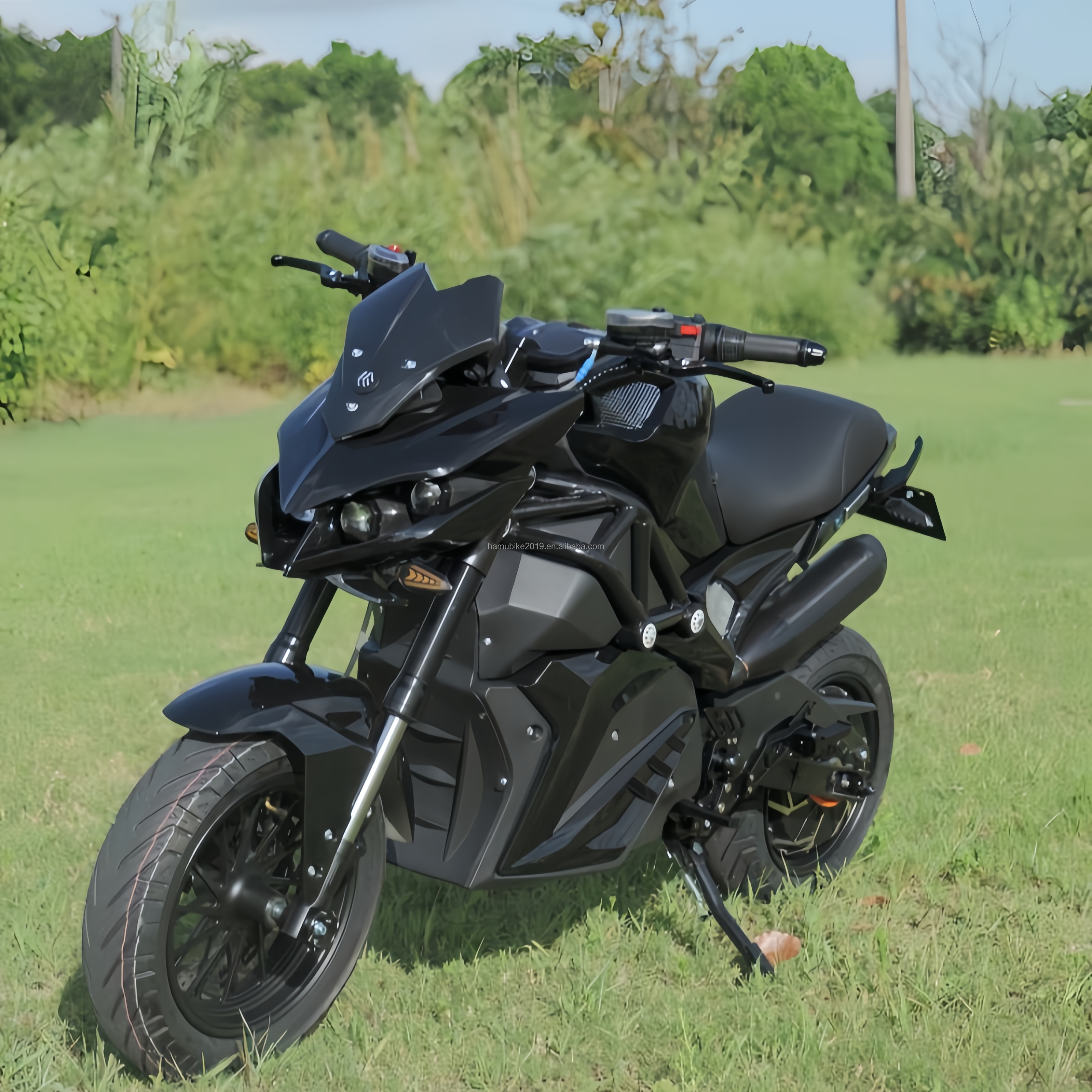 高速运动摩托车 130公里/小时 电动两轮摩托车 2000瓦/3000瓦 强力电动摩托车 72伏 越野电动越野车