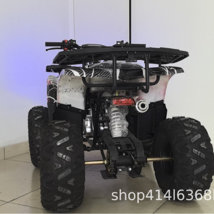 Пляжный полноприводной полноприводный автомобиль Горный внедорожник Картинг Топливо ATV Пляжный автомобиль