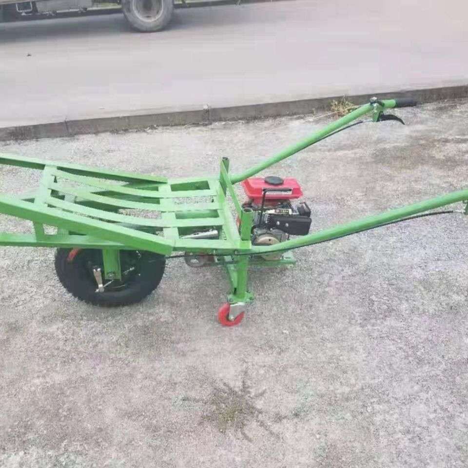 Бензиновый моноцикл, куриный автобус, двухколесный горный транспорт, трехколесный велосипед, дизельная тележка - Одноколесные транспортные средства (без бензиновых двигателей)