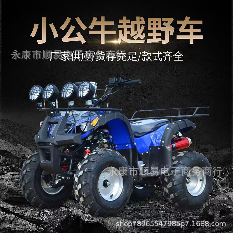 Горная дорога Четырехколесный внедорожник Пляжный автомобиль Булл Мотоцикл Мотоцикл Полноприводной Кардинг