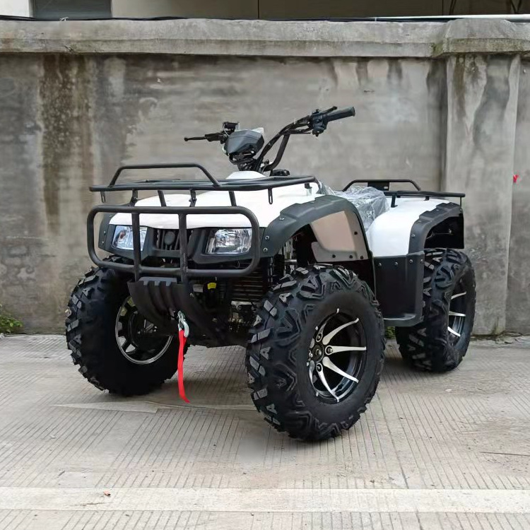 250 CCATV Пляжный автомобиль Вездеход Мотоцикл Мотоцикл Четырехколесный ATV Пляжный Мотоцикл