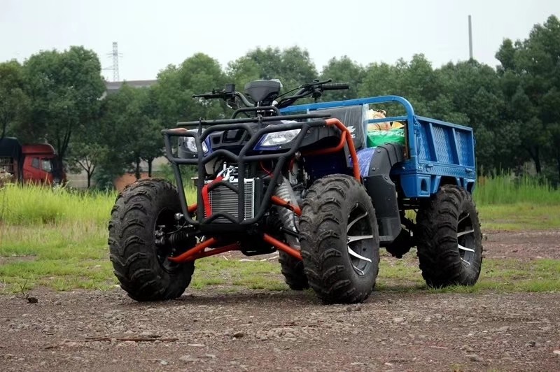 Новый Zongshen 250 с водяным охлаждением полноприводной пляжный мотоцикл вездеход