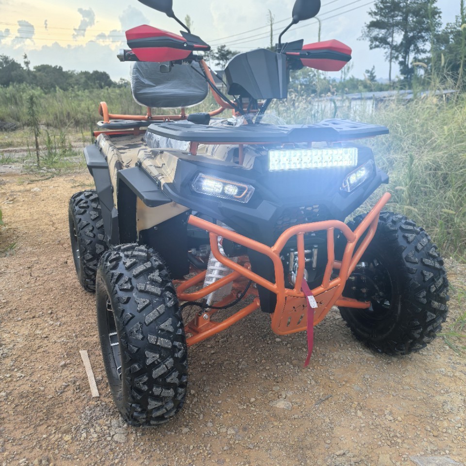 Новый четырехколесный ATV Beach 200 CCATV Полноприводной горный мотоцикл