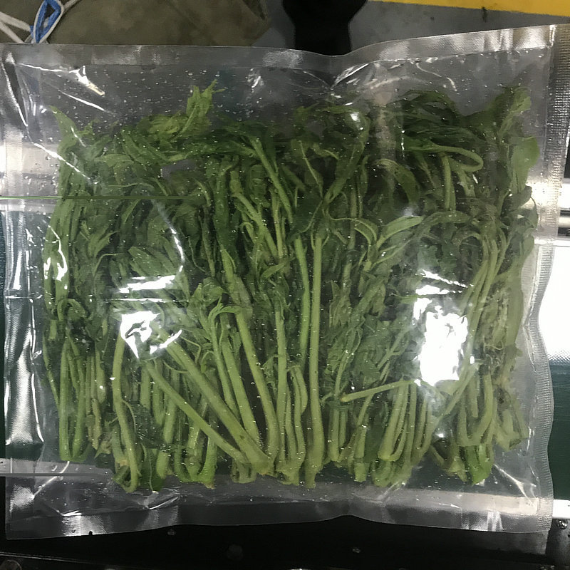 Шаньдун замораживает цедренные почки, когда свежие почки в сезон - 500 г / мешок