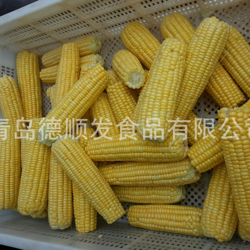 Замороженные сладкие кукурузные палочки замороженные сладкие кукурузные секции замороженные липкие кукурузные палочки 40 шт. / коробка - 40 шт. / ящик