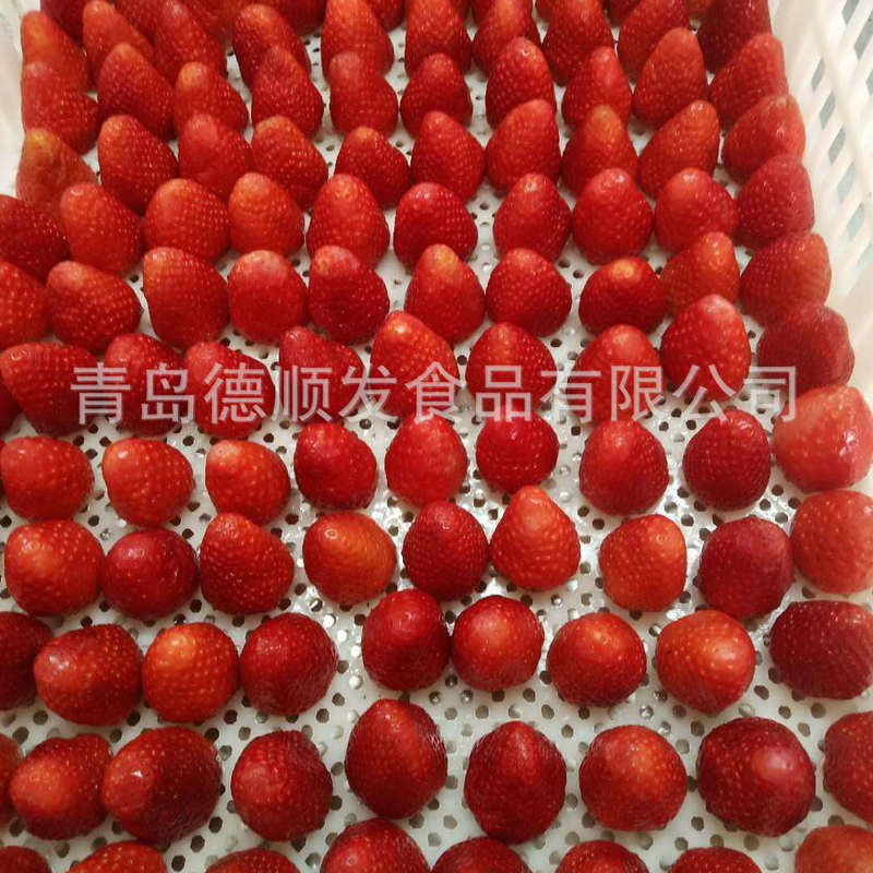 Производитель мороженое с клубникой, замороженное насыпью 10 кг свежей клубники - Сладкий чай