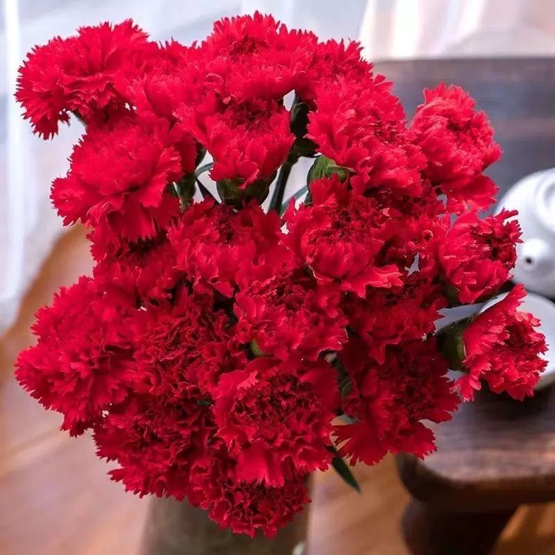 Юньнань Куньмин свежие гвоздики букет цветов домашние цветы учителя день матери подарочная база прямые оптовые - Красная гвоздика 20 + доставка