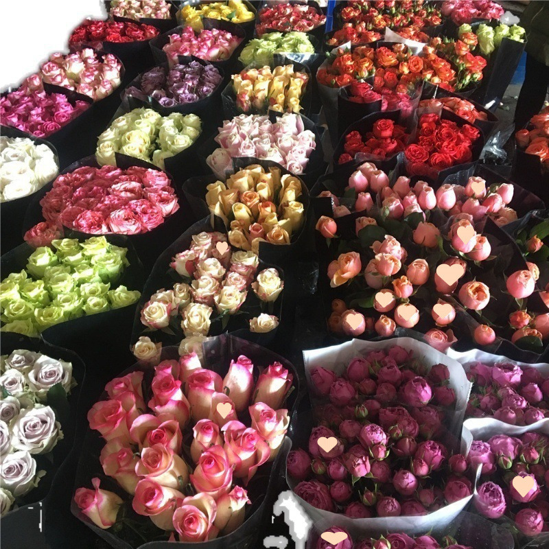 Шампанское Роза Юньнань Куньминская база Прямые водные свежесрезанные цветы с городской экспресс - доставкой - Случайная монохромная роза 8 + 2 шт.