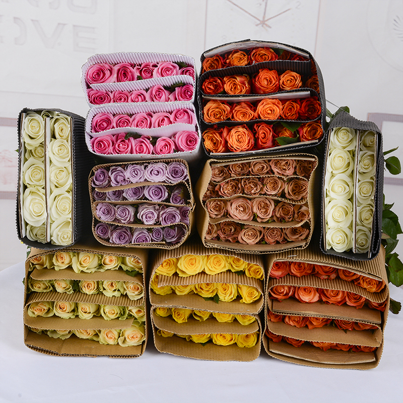 Юньнаньская база прямые розы подсолнухи цветы духи лилии домашние цветы гвоздики аквакультура оранжевый стебель - Десять случайных роз/Без вазы.