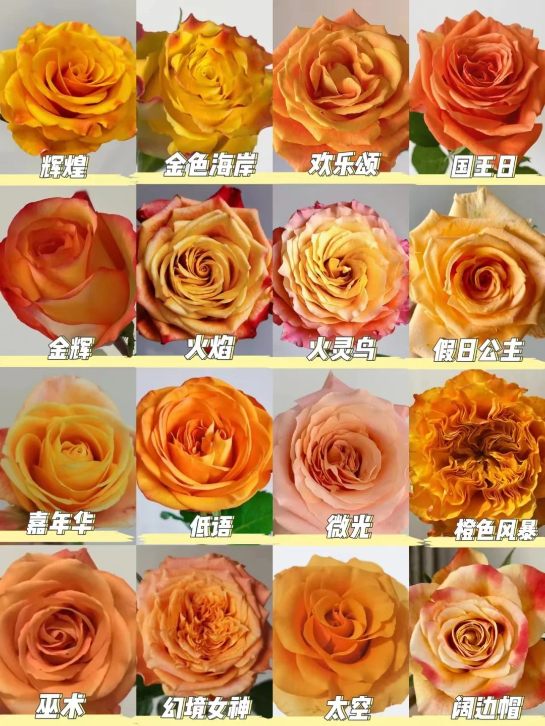 Дунань цветы оптовые розы свежие нарезанные цветы прямые продажи свадебные цветы листья бессмертные цветы сухие цветы букет бутон - Розы за один день.