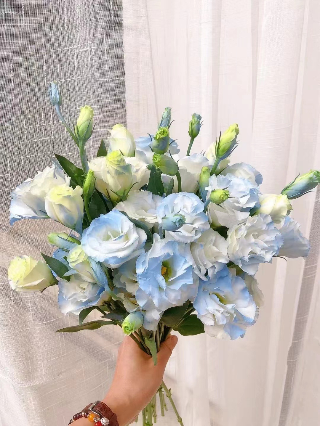 A级碎冰蓝洋桔梗鲜花批发云南基地直发婚庆活动花店摆摊花社区团 - 【重磅推荐】碎冰蓝/600g【30-40朵左右,6-10枝】