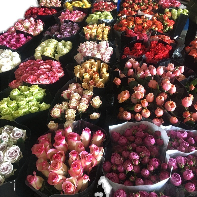 Шампанское Роза Юньнань Куньминская база Прямая вода Свежие цветы с городской экспресс - почтой День Святого Валентина 520 букет - Случайная монохромная роза 8 + 2 ветви защиты + доставка консерванта