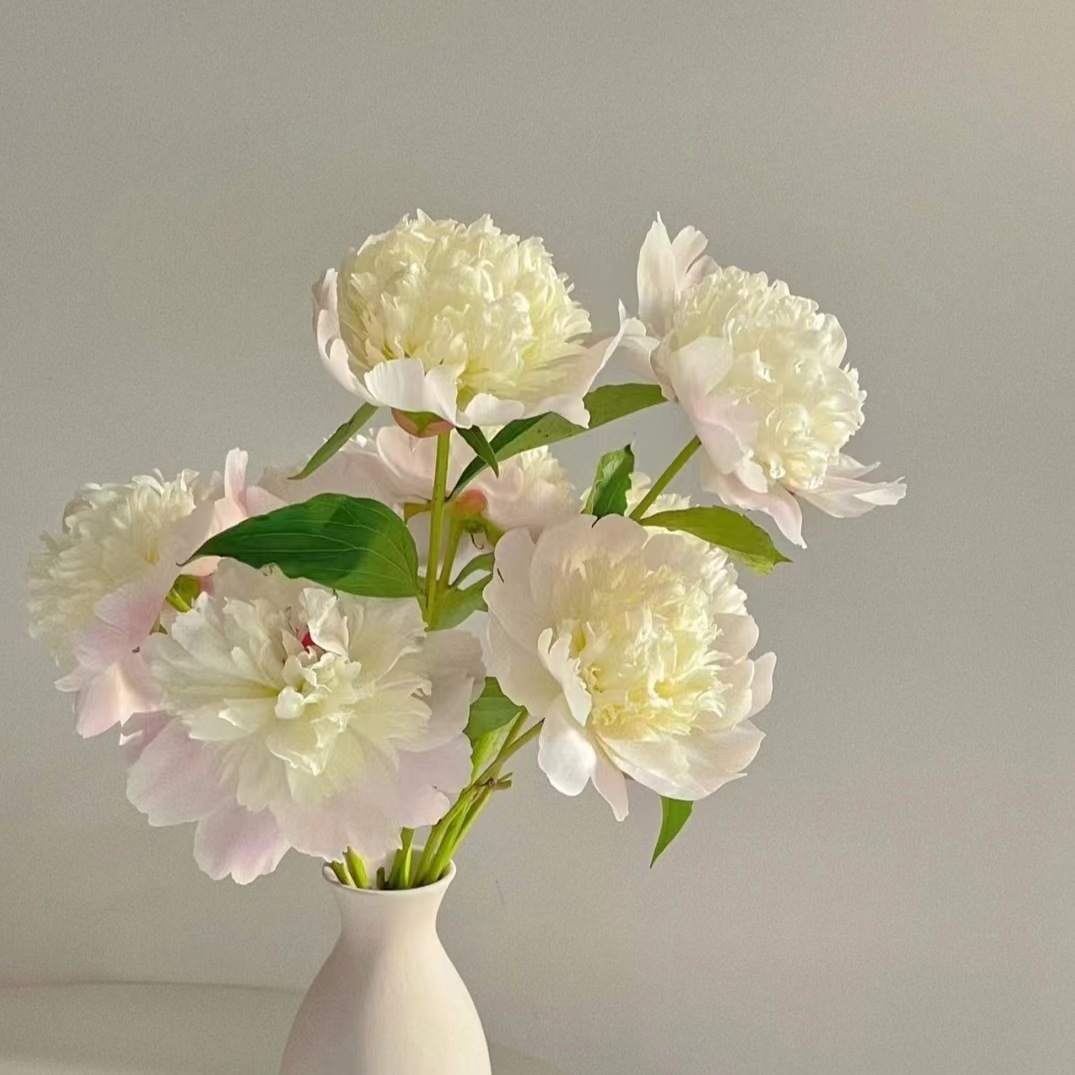 Цветы Юньнань прямые, нарезанные цветы Домашний стол Украшенные бутылки Цветы - Белые 10 шт.