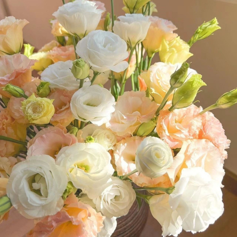 Академическая ассоциация действительно свежие нарезанные букеты, внутренние водные цветы, смешанные с оптовой торговлей апельсиновыми стеблями, драконьими желчными цветами Юньнань Куньмин база - Пять оттенков апельсина.