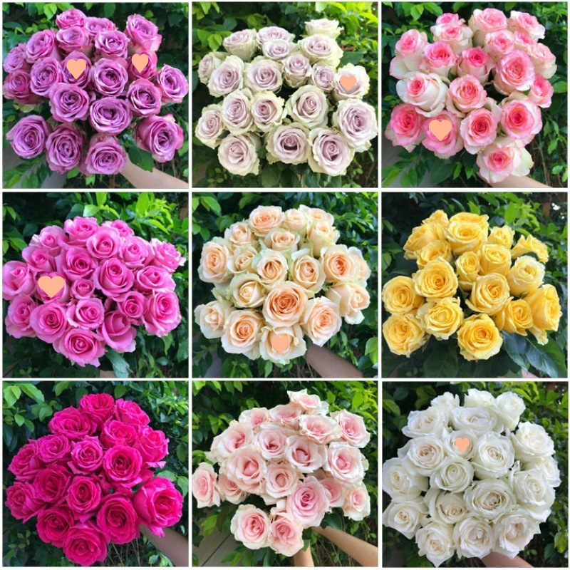 直发邮真花香水百合玫瑰新鲜云南礼鲜花直批切花向日葵基地花束 - 随机玫瑰 8枝+送2枝（防损耗） 送保鲜剂