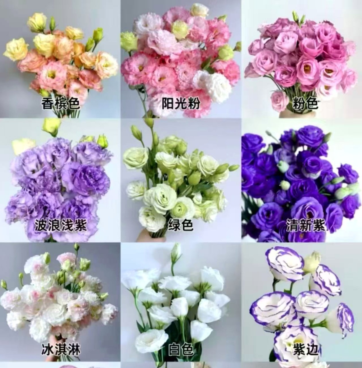 Цветы в полном цвете. - Белый 800 г