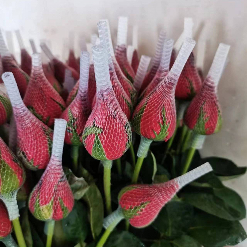 Красная Каролина Юньнань Куньмин Оптовая Плато Цветы Свободная Красная Роза - Красная Каролина 10 шт./Базовые свежие прямые волосы + консервант (длина 70 см)