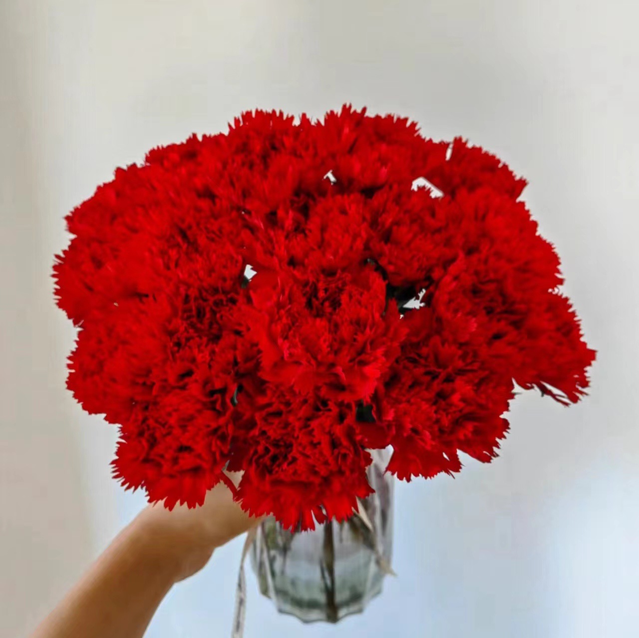 Юньнаньская база прямых гвоздик Цветы День матери Мероприятия компании Подарки с цветами - Горячие продажи/1 пучок / 20 единиц