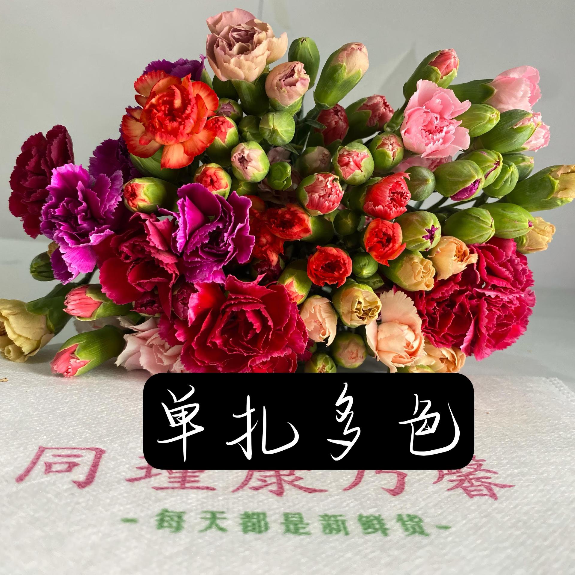 Многоглавые гвоздики Цветы в Юньнани Прямые волосы DODIN Цветы Фестиваль Гостиница Ресторан Стол Цветы - Смешанный многоглавый Кан / 1 за/Уровень AB