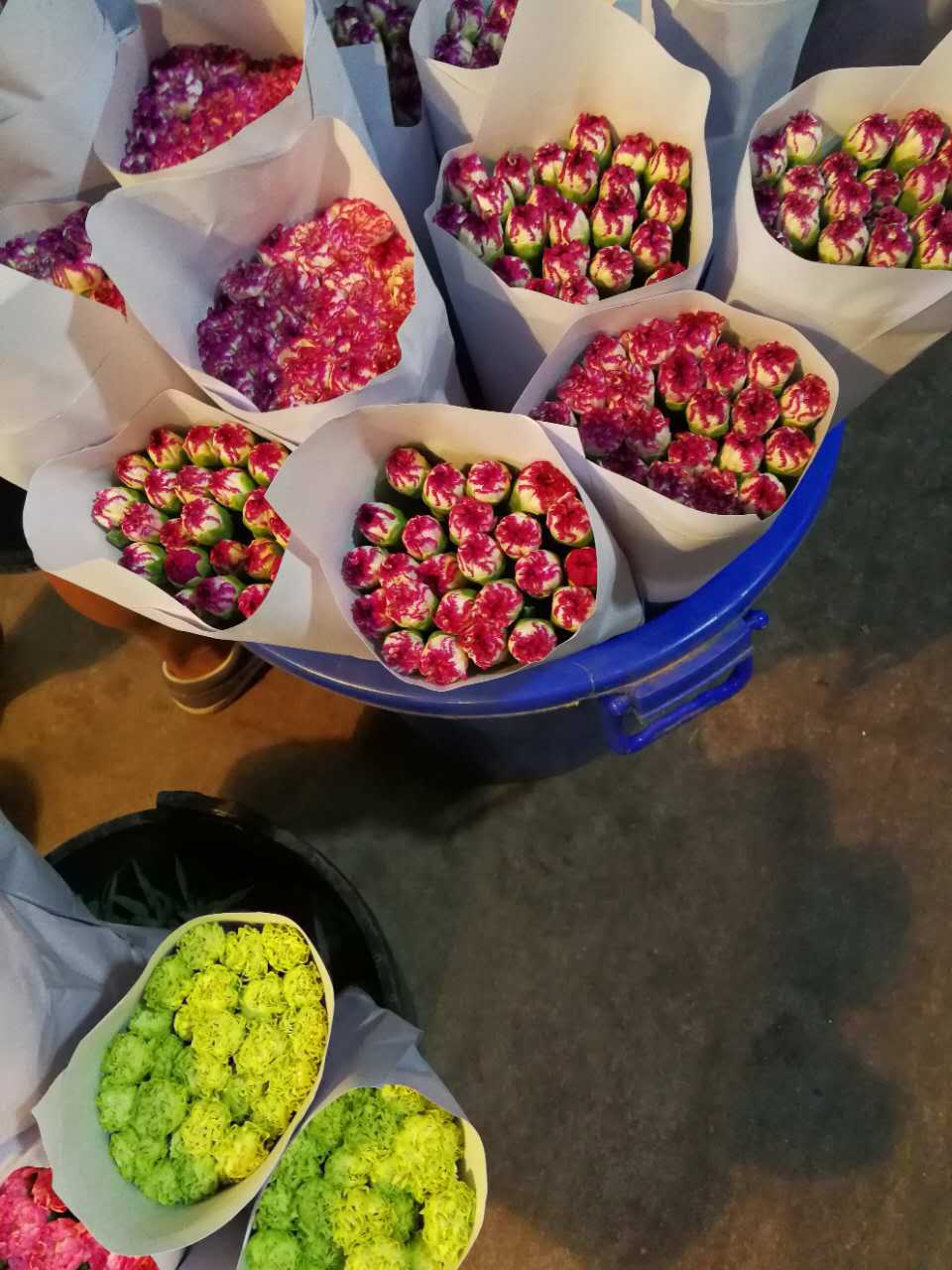 Посадка гвоздики на базе, доставка в Чэнду, День учителя, 8 марта Женский день. - красный