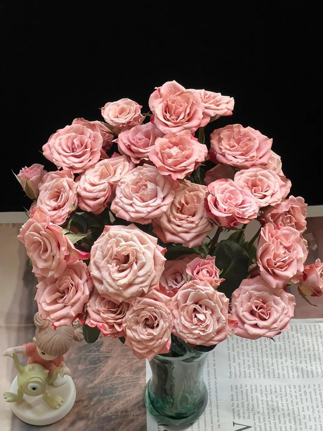 Розы Цветы Куньмин Свежие Цветы База Прямая партия День учителя Богиня Подарки Оптовая группа Юньнаньская база Прямые волосы - Капучино (20 шт. / за)