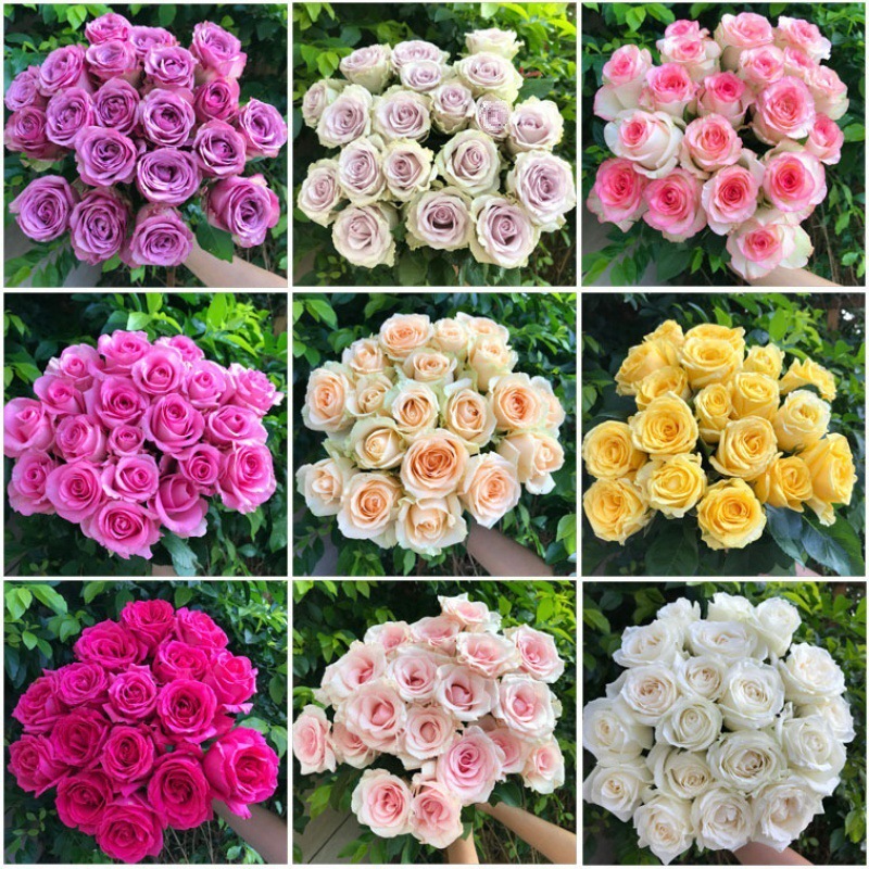 Свежие подарки букеты роз, цветы, духи, лилии, почта, настоящие цветы, прямые волосы, подсолнухи. - Случайная роза 8 шт. + 2 шт. (против потерь) Подача консерванта