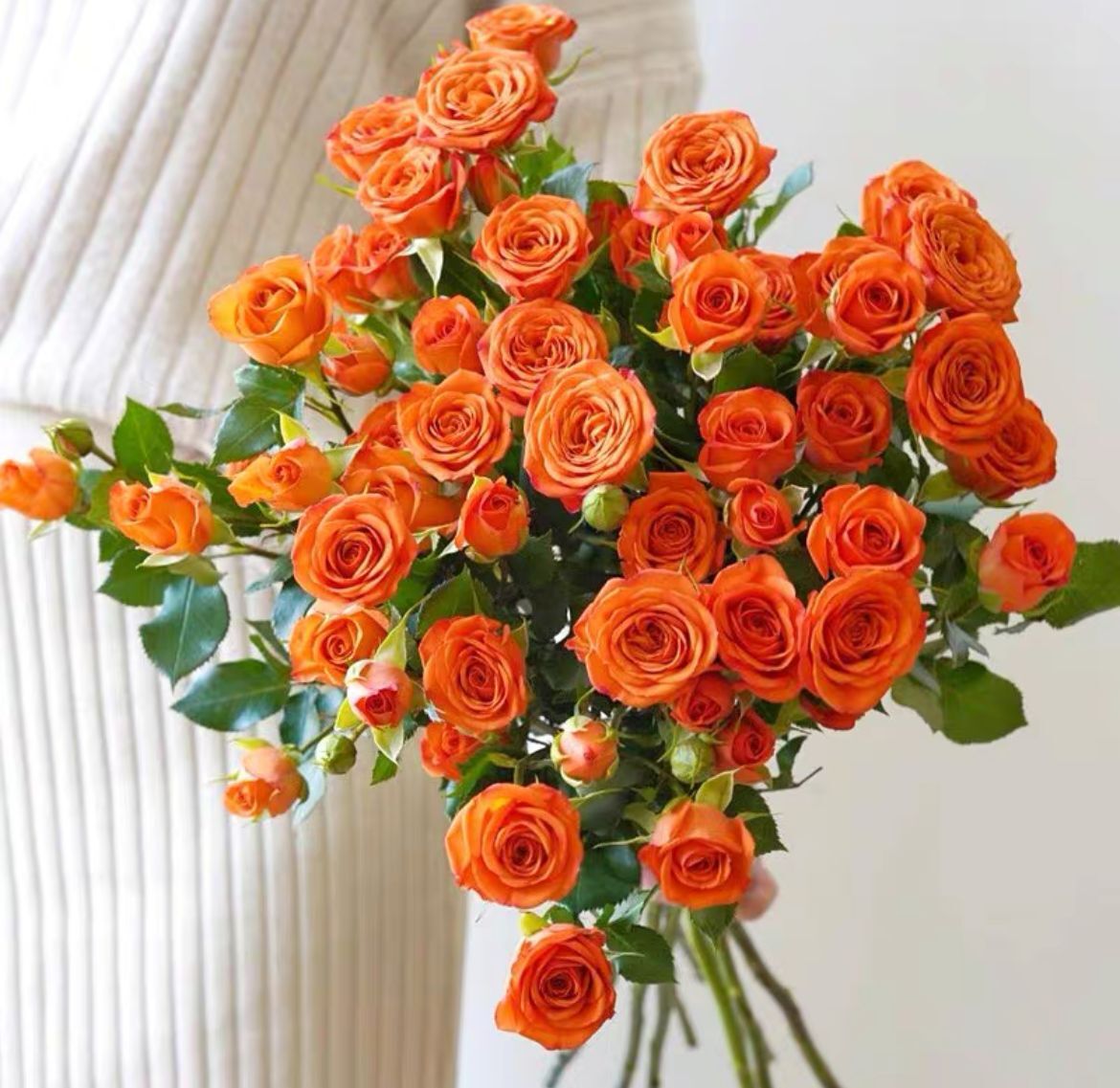 Многоглавые розы, букеты, пузырьки, розы, юньнаньская база, прямые волосы, домашние водные цветы, розетки, оптовая упаковка - Оранжевый Барби 10 шт.
