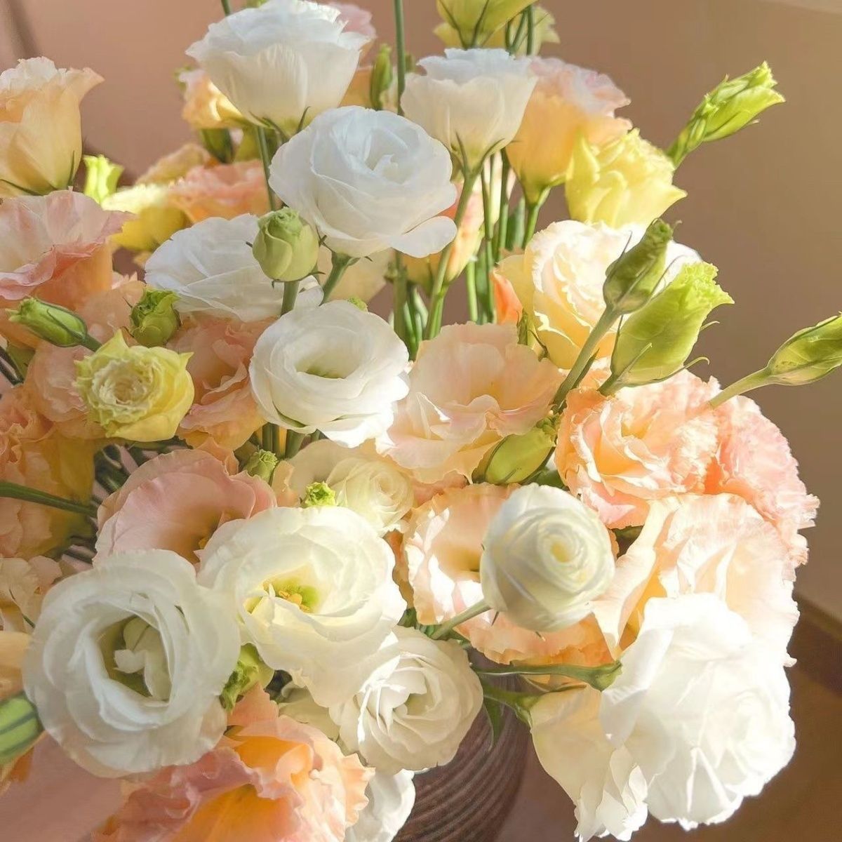 云南昆明基地直发洋桔梗龙胆花真花鲜切花花束鲜花混搭批发年宵花 - 随机色5个花头洋桔梗