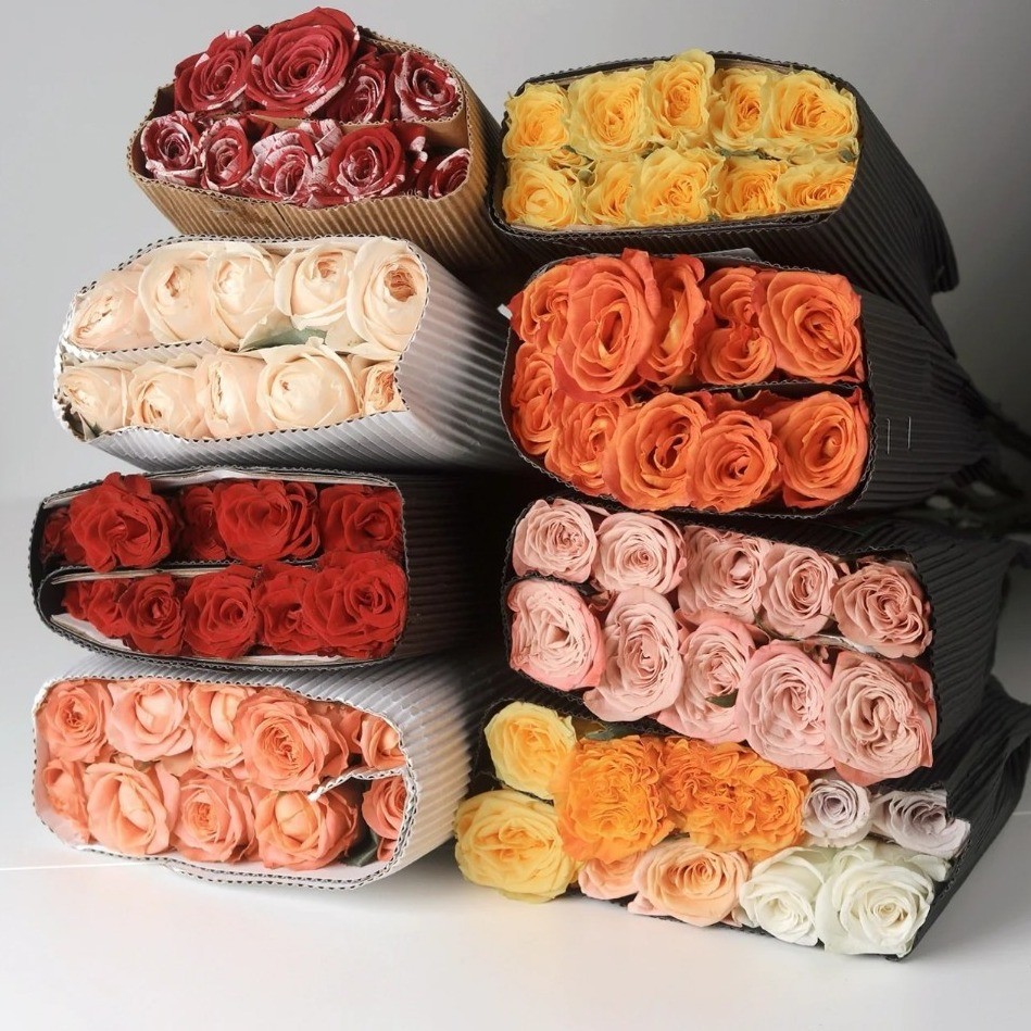 Розы Шуньфэн оптовая торговля цветами домашние гидропоны цветочные магазины оптовая торговля цветами - Случайные розы/Ущерб 18 + 2.