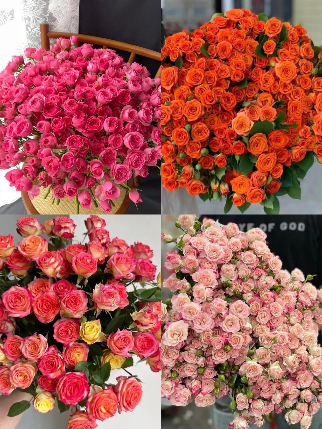 Многоглавые розы Цветы Юньнаньская база Куньмин Прямая партия многоглавых роз Цветы Домашний киоск Цветочный магазин - Случайный монопродукт (10 шт. / Z)