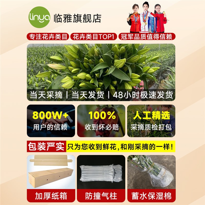 香水百合鲜花云南基地直发水培多头鲜切花花束插花插瓶多重瓣花卉 - 提示语：【根据季节实时更新各品种鲜花】/标准