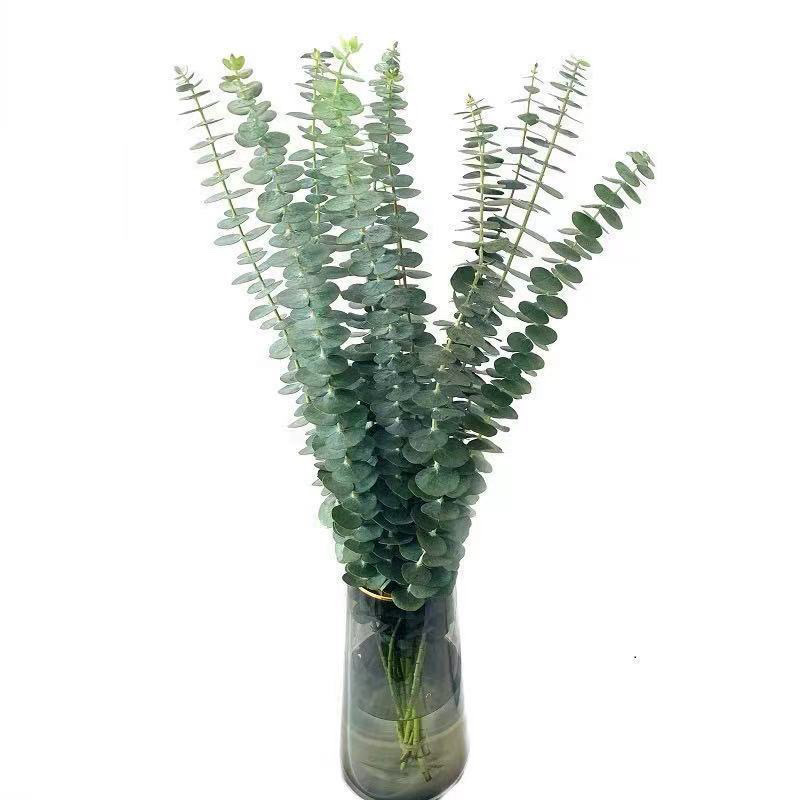 Многоглавые розы Цветы Юньнань Прямые волосы Подсолнухи Апельсиновые духи Лили Водный букет - Югали 10 + консерванты