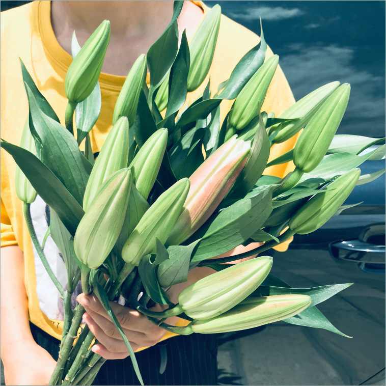 Цветы букет Юньнань Куньмин база прямые духи лилии экспресс доставка с городской розой 520 подарок на день святого Валентина - Десять бутылок для хранения.