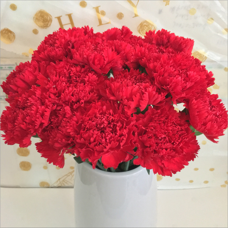 Сун Ин цветы Юньнань прямые волосы гвоздики база аквакультура букет Куньмин день рождения День отца церемония чувство праздника - Красная гвоздика, 10 шт.