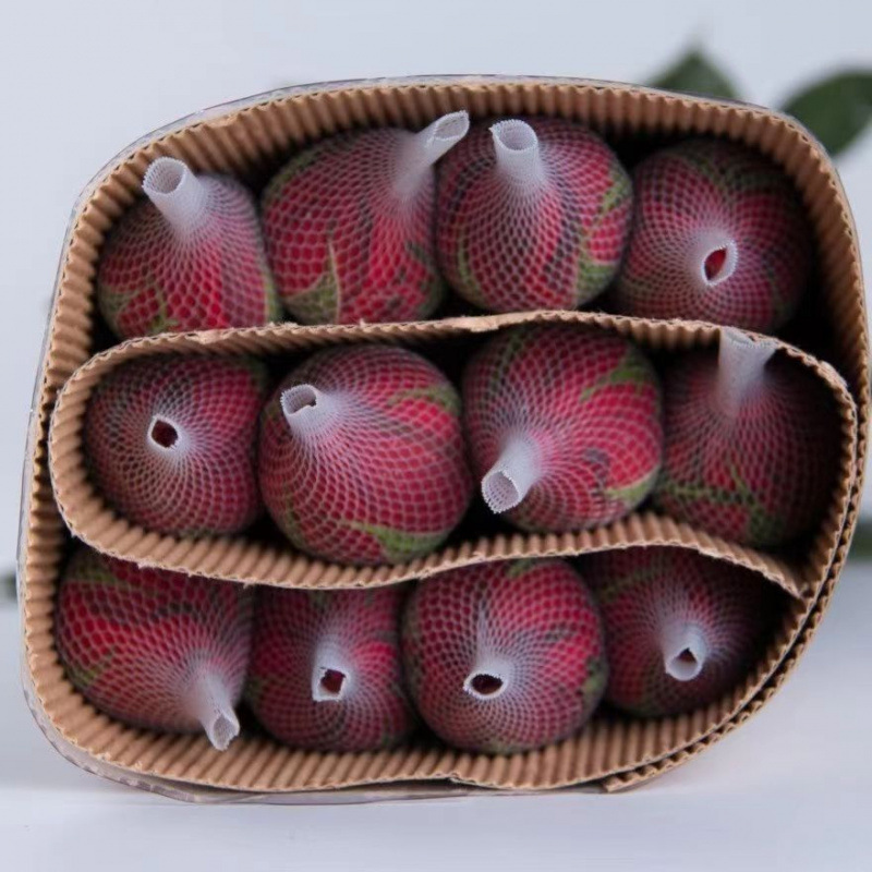 99 Красные розы Юньнаньская база прямые цветы букет роз Французская Каролина красные розы настоящие цветы - На базе 10 красных роз./В Восточной Монголии не советуют заказывать