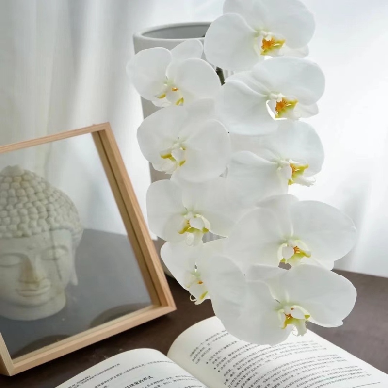 Голландская белая бабочка, нарезанная на свадьбу, редкие цветы, прямые волосы в Шанхае - Экспортная бабочка - 1, около 60 CM/Без вазы.