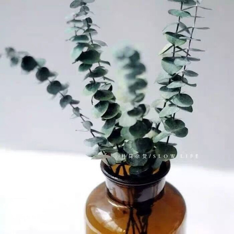 Парфюмы, лилии, букеты цветов, база Куньмин, провинция Юньнань - В ЮГАРИ 5 денег.