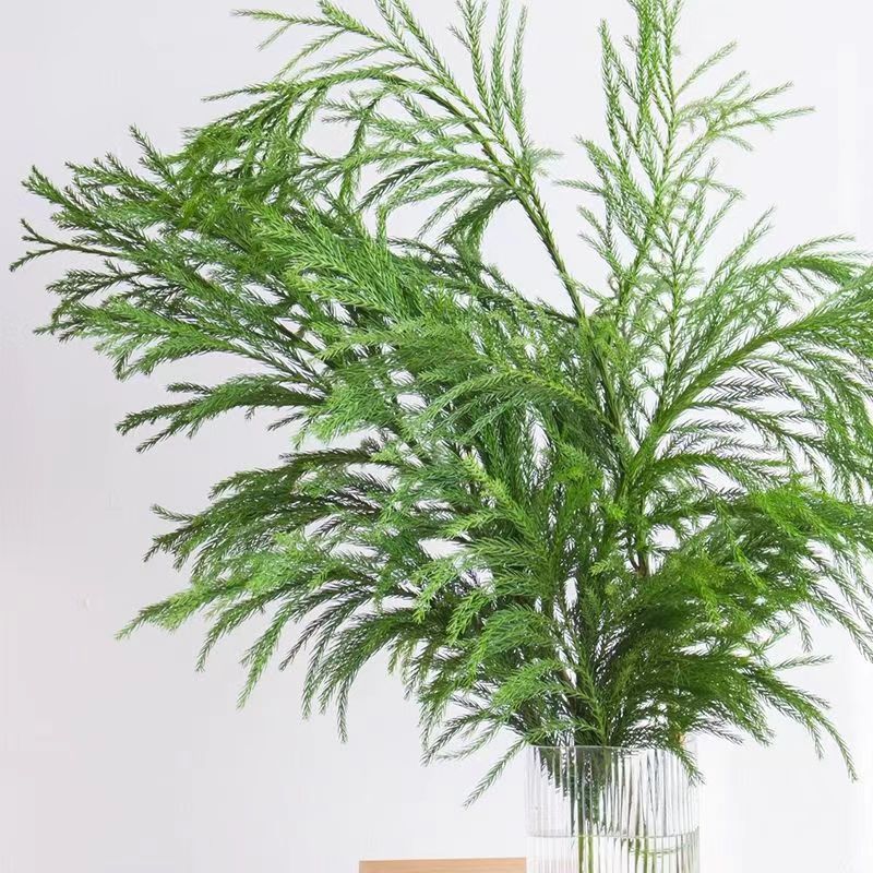 Чжуань девушка ивы свежая сосна ветви венки рождественская елка праздничный праздник гостиная выставочный зал прямая стрижка - A # Тяньчжу девочка 1 шт. (80 - 100 см) A #