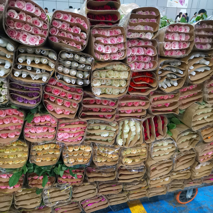 Юньнань Куньмин Розы Цветы Подарки на День богини Прямая партия цветочных магазинов Свадебное место для размещения цветов - Случайно одноцветные 20 шт. / шт.