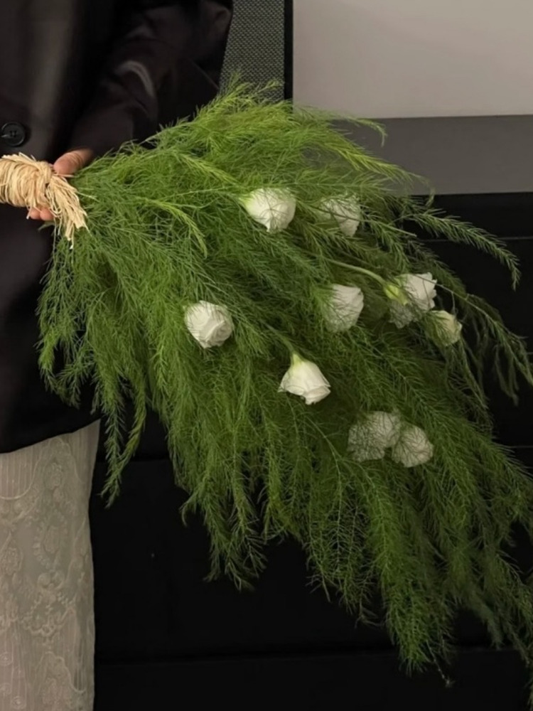 Лу Сюнь Цао Цветы Свадебный пейзаж Юньнаньская база Прямые волосы с различными цветами - [...] Лу Xun трава 1 Za (3 - 5 веток) [...]/* * * * * * * * * * * * * * * * * * * * * * * * * * * * * * * * * * * * * * * * * * * * * * * * * * * * * * * * * * * * * * * * * * * * * * * * * * * * * * * * * * * * * * * * * * *