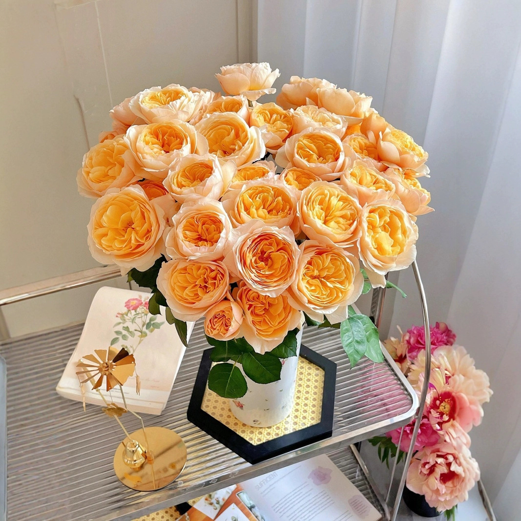 Остин, Джульетта, редкая роза, прямая роза, французская свежесрезанная вода. - Жюльетта 10 шт.