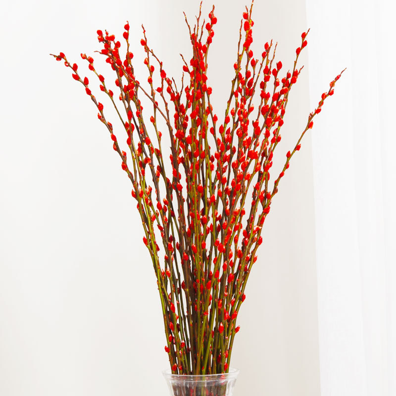 Серебряная ива класса АА - Ива серебряная/40CM