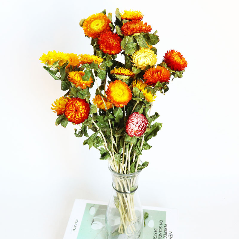 Пшеничная кроличья хвостовая трава, полная ягод Skystar, смешанный букет цветов diy гостиная, украшенная Юньнаньским заводом оптом - Ананасы - 20 цветов.