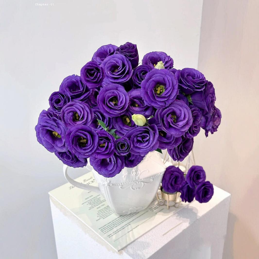 洋桔梗鲜切花真花家居婚庆装饰节日摆摊社区团购云南鲜花基地批发 - 深紫洋桔梗20～30朵